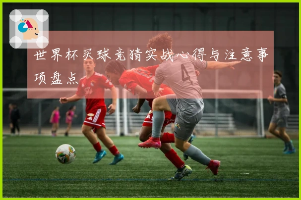 世界杯买球竞猜实战心得与注意事项盘点