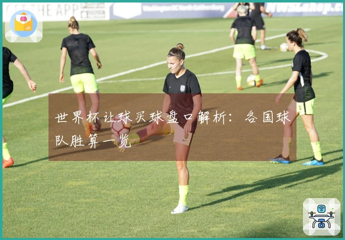 世界杯让球买球盘口解析：各国球队胜算一览