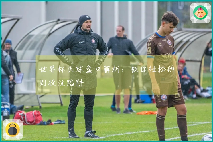 世界杯买球盘口解析，教你轻松辨别投注陷阱