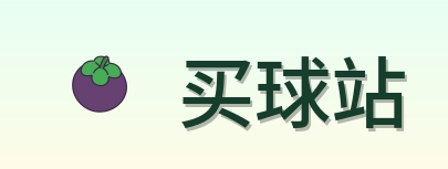 买球站 品牌标志